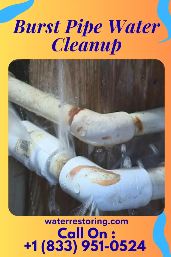 Burst Pipe Water Cleanup in Andrews, SC