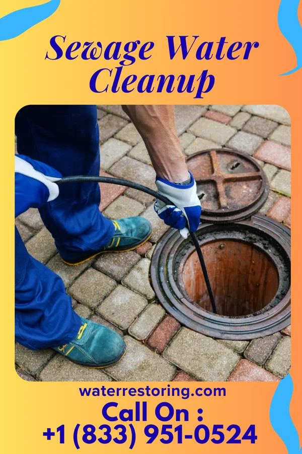 Sewage Water Cleanup in Andrews, SC