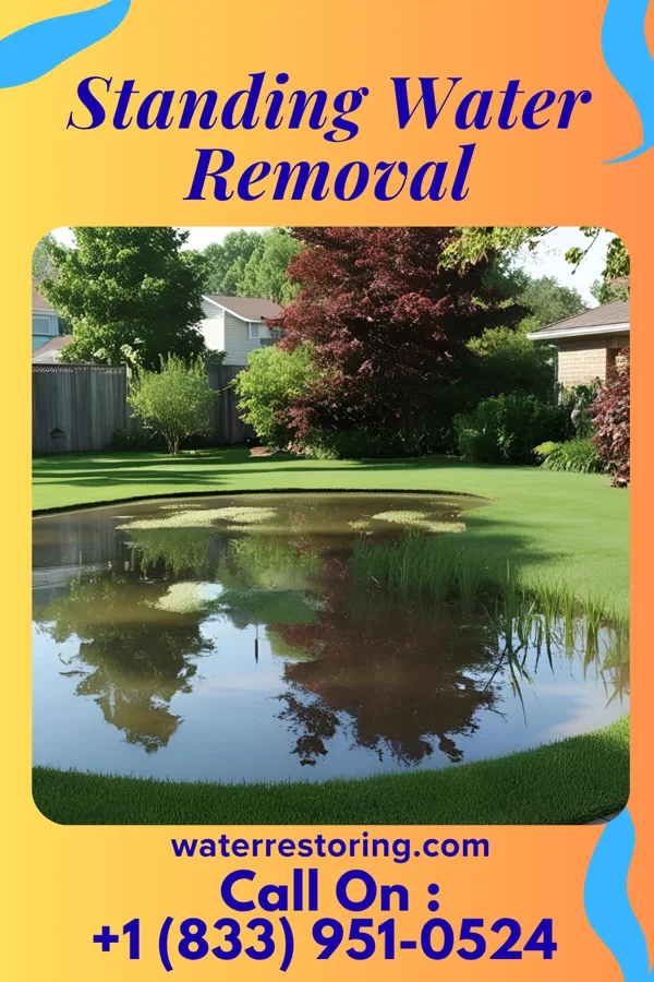 Standing Water Removal in Andrews, SC